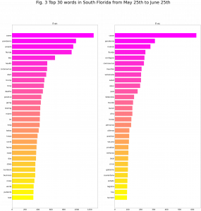 Analysis – Digital Narratives of Covid-19